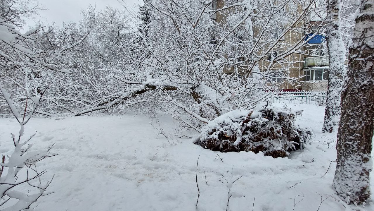 Последствия снегопада 14.12.22